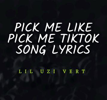Pick Me Like Pick Me Tiktok Song Lyrics